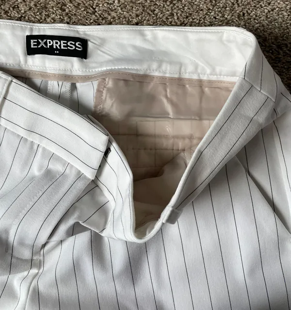 Express Dress Pants - Image 3