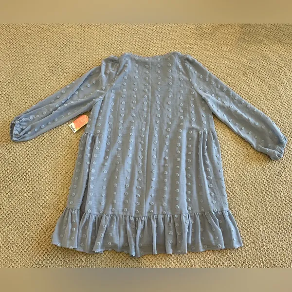 NWT Arula Swiss Dot Vneck Dress, Size A 1X, Dusty Blue, Longsleeve, Short - Image 2