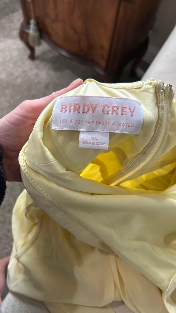 Birdy Grey Grey Bridesmaid Dress - Image 4