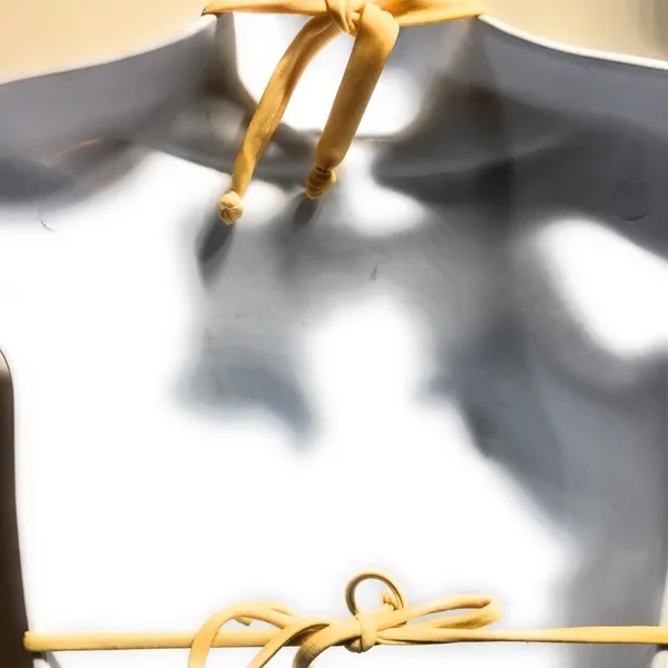 Luli Fama Bikini Top‎ NWT - Image 5