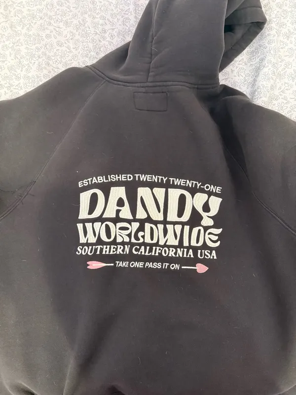 Dandy Worldwide Hoodie - Image 3