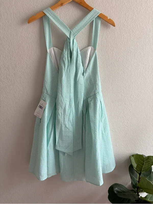Lauren James Livingston Seersucker Green Stripe Dress Size Large NWT - Image 5
