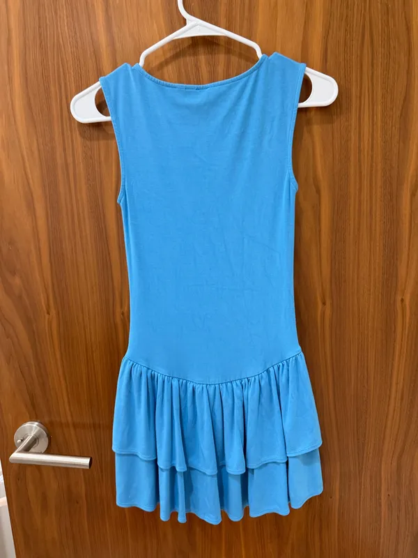 Aritzia Bloomsbury Dress - Image 2
