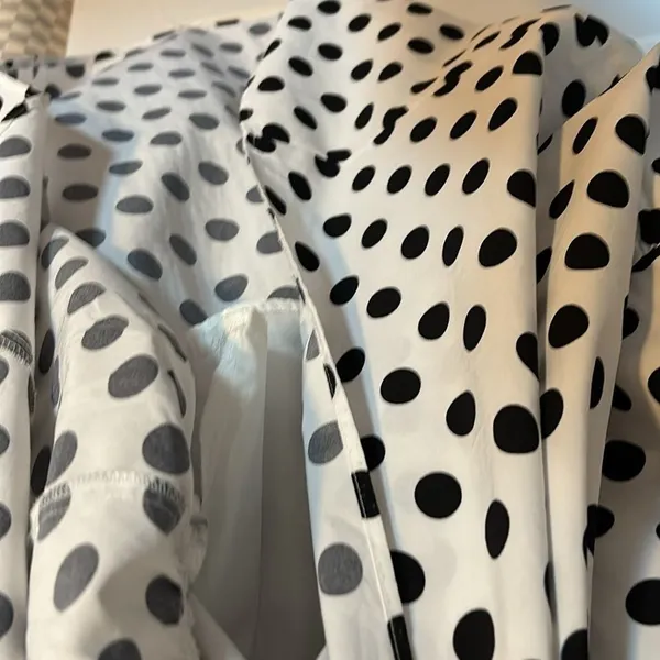 Nasty Gal Polka Dot Maxi Dress - Image 5