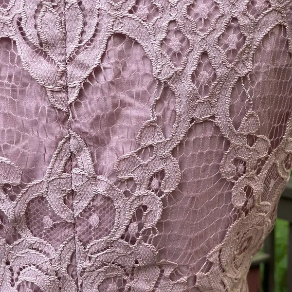 Black Swan Charlotte Lace Dress Size M Blush Pink Skater Fit Flare Wedding Guest - Image 16