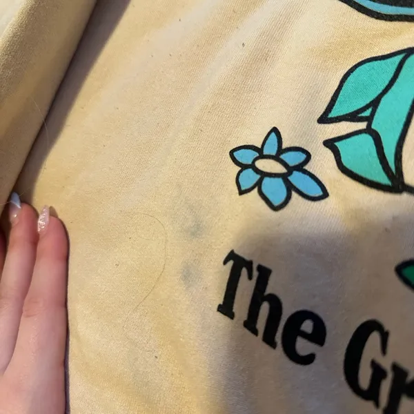 PacSun Graphic Crewneck - Image 4
