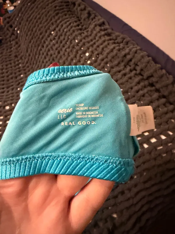 Aerie Bikini Set Blue Striped - Image 4