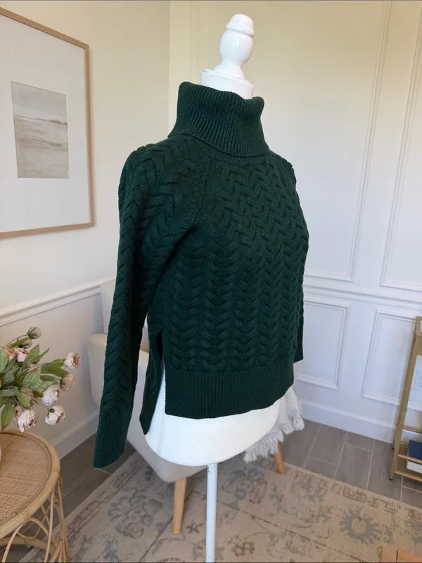 Aritzia Wilfred Free Lin Sweater 100% Wool Roll Neck Green XS - Image 8