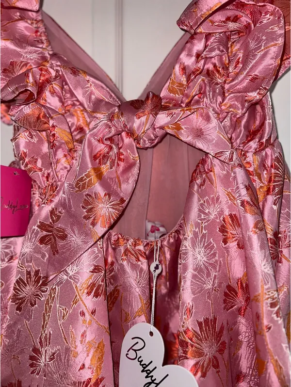 BuddyLove Dress - Image 5