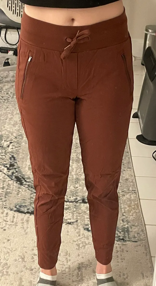 Trekkie North Joggers In Rust Red - Image 4