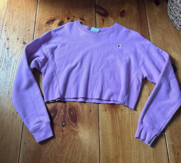 Champion Cropped Hoodie - Image 2
