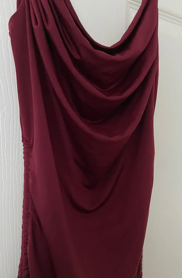 Windsor Burgundy Cowl Neck Mini Dress - Image 3