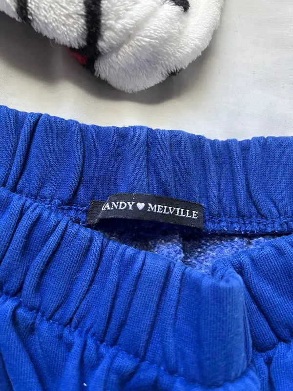 Brandy Melville Joggers Blue - Image 4