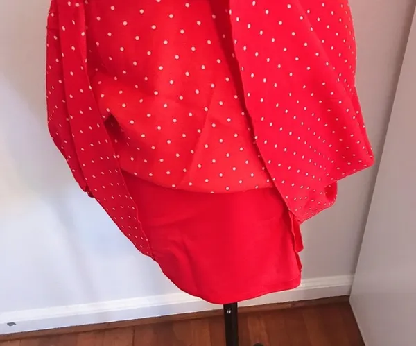 Red Polka Dot Dress - Image 2