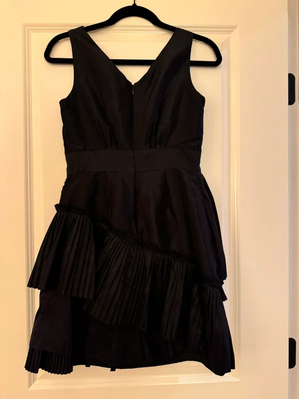 Maxwell and Cleo Pleated Black Dress - Image 4