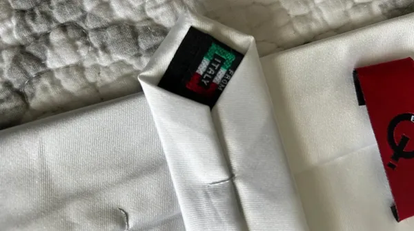 TELY White Satin Solid Woven Men’s Pointed Neck Tie One Size 1 Piece - Image 3