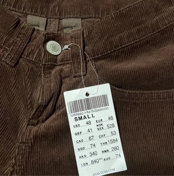 Brielle Corduroy Brandy Melville Pants - Image 4