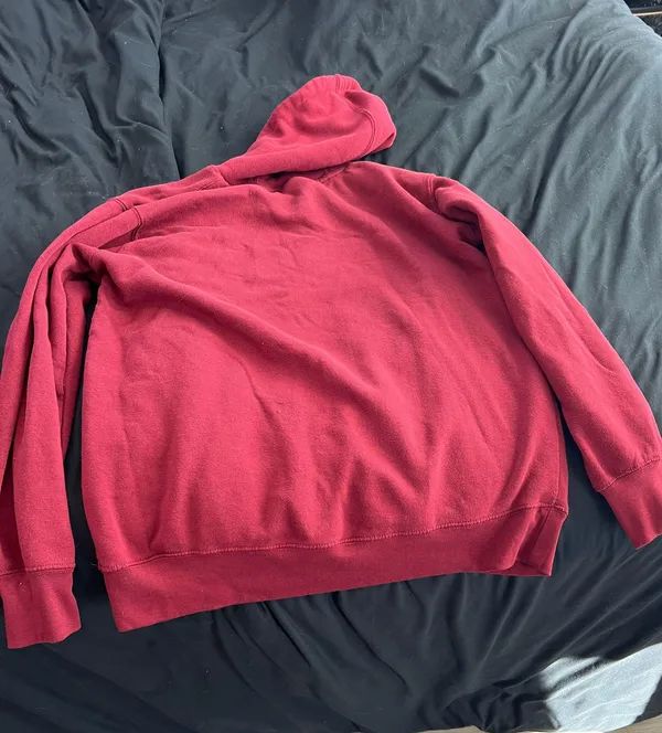 Ariat Hoodie - Image 2