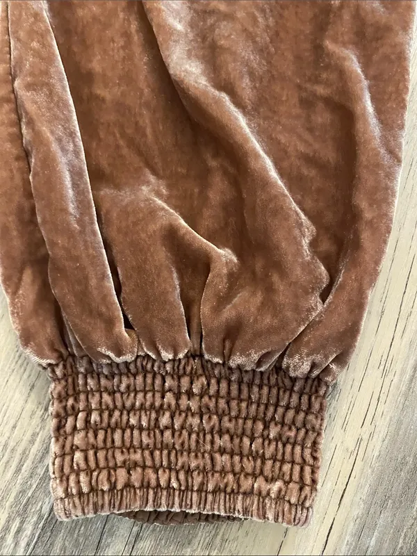 Anthropologie Gloria Velvet Jogger Taupe Size SMALL - Image 2
