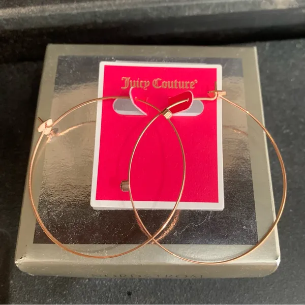 Juicy Couture E Fine Gem Hoop Rose Gold Pave Earrings Brand New - Image 2