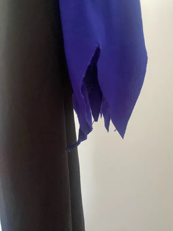 Black and Blue Halloween Costume - Image 2