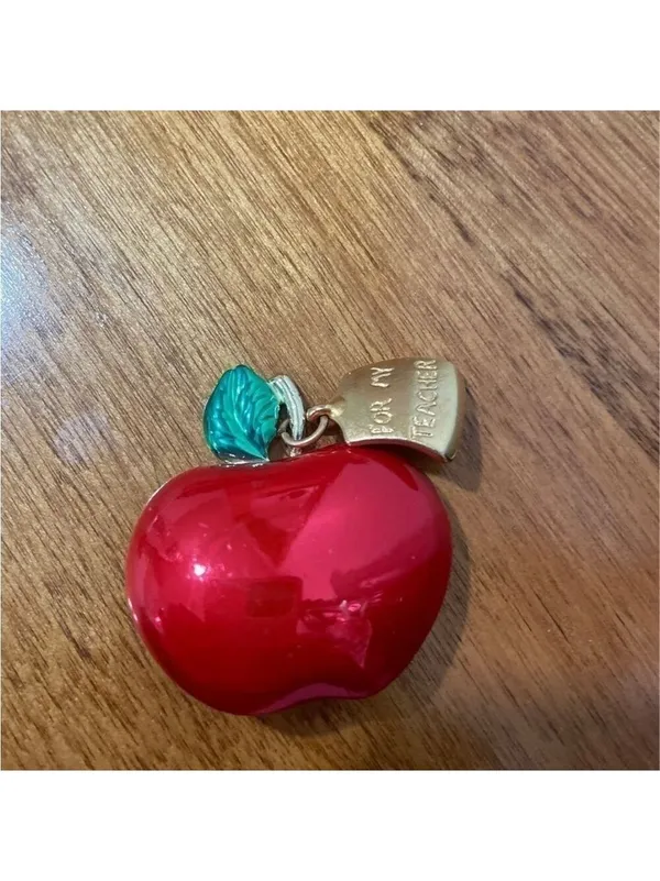 Teacher Brooch Pin Collection Red - Image 6