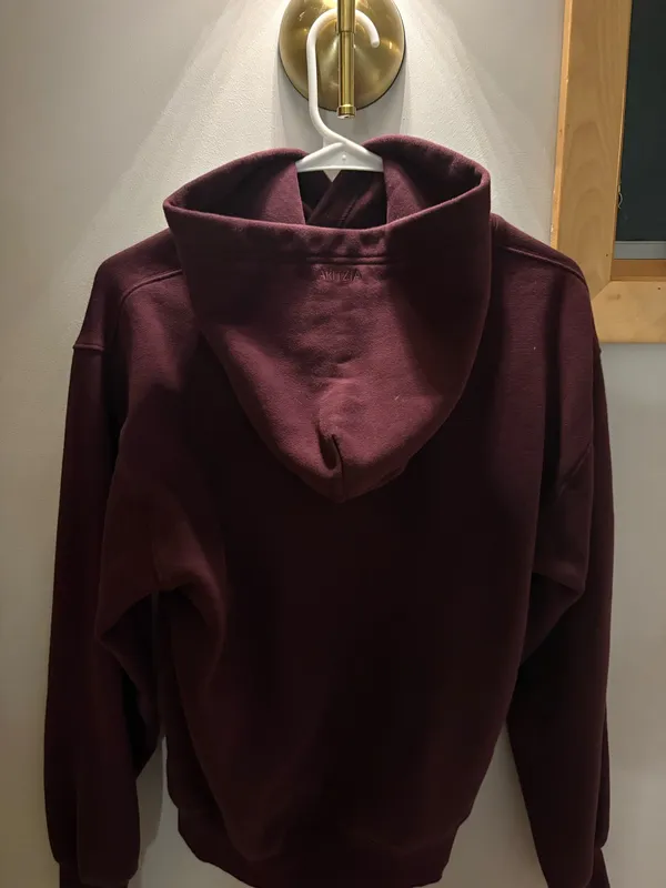 Aritzia Hoodie - Image 4