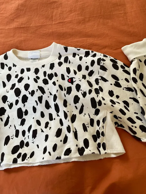 Champion Sweatshirt - Image 3