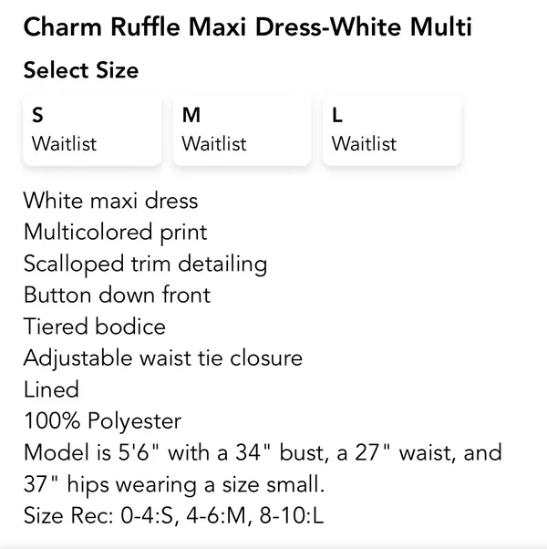 Charm Ruffle Maxi Dress - Image 7