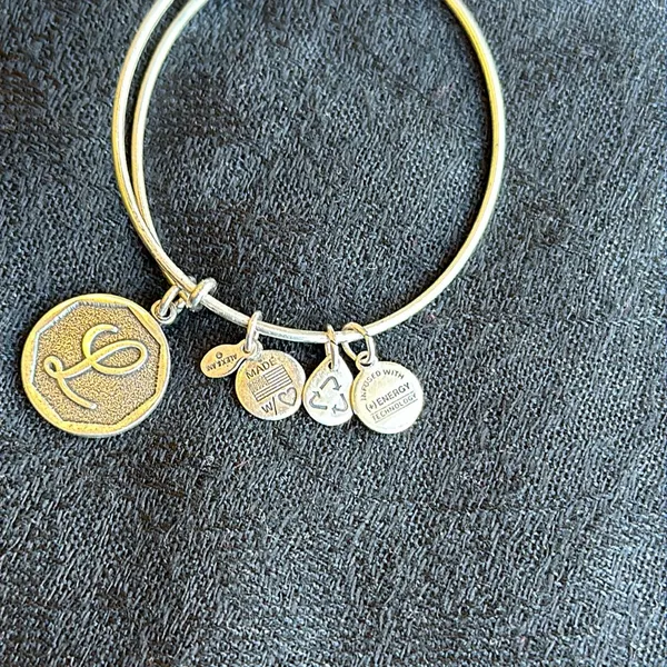 Alex and Ani Silver L Charm bracelet - Image 2