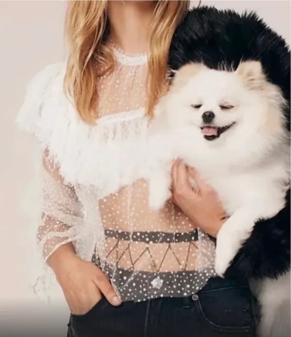 Free People✨ Chloe Mesh Long Sleeve Blouse - Image 3