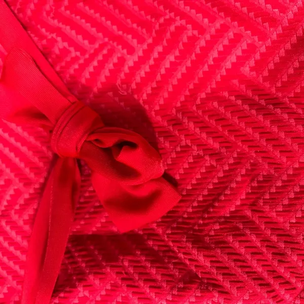 Aerie Red Textured Bikini Bottoms - Image 3