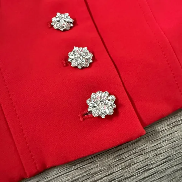 Zara Red Rhinestone Button Corset Crop Top Vest Size XS‎ Structured Boned NWOT - Image 6