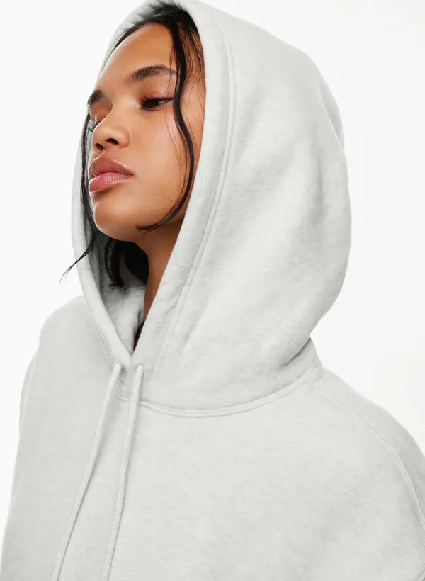 Aritzia Tna Cozy Fleece Boyfriend Hoodie - Image 10