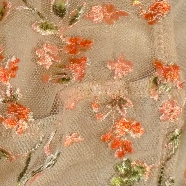 Aerie Sheer Floral Embroidered Bralette in Beige, Coral & Olive Sz M - Image 4
