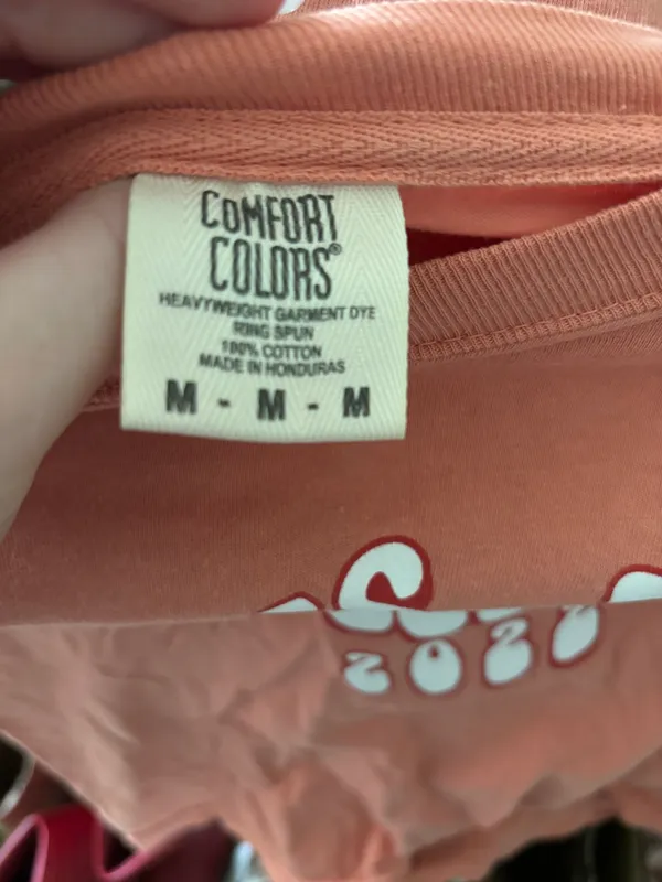 Comfort Colors Delta Gamma T Shirt - Image 4
