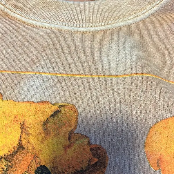 PacSun small sweatshirt with mushrooms. 🍄 GUC. Two bleached spots on front. - Image 2