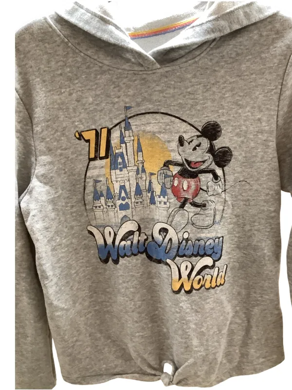 Disney Parks Size Medium Vintage Walt Disney World Hoodie, Used - Image 3