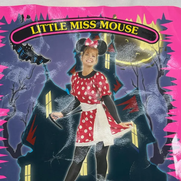 Little Miss Mouse Red Polka Dot Dress & Sash only. Sz M Halloween Costume Adult - Image 2