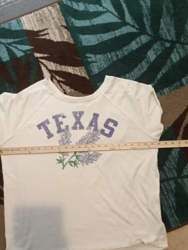 We The Free Texas Blubonet Graphic Tee Ivory Cotton Oversized Collegiate Relaxed - Image 10