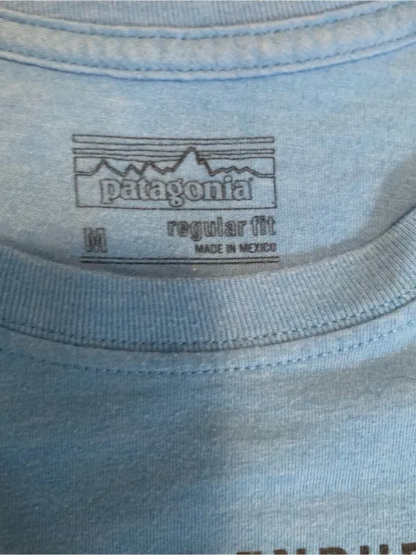 Patagonia Women’s Sky Blue Graphic Short-Sleeve Tee size Medium - Image 4