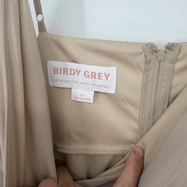 Birdy Grey Kaia Chiffon Dress Neutral Champagne 1X Bridesmaid Maxi‎ NWT - Image 3