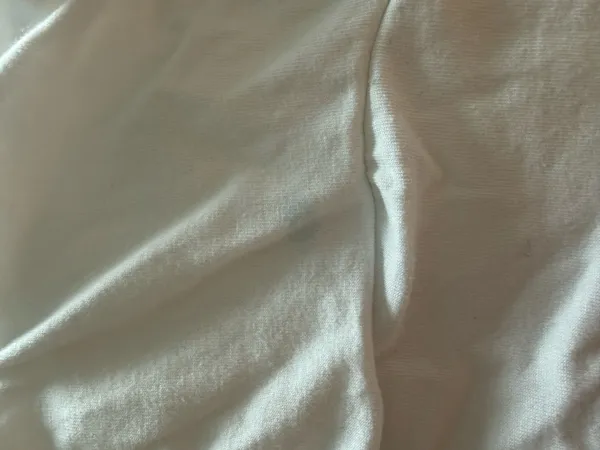 Crop Puff Hollister White Sleeve Top - Image 5