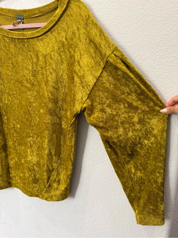 Free People We The Free XS Velvet Balloon Sleeve Top Y2K Whimsigoth Fairy Grunge - Image 4