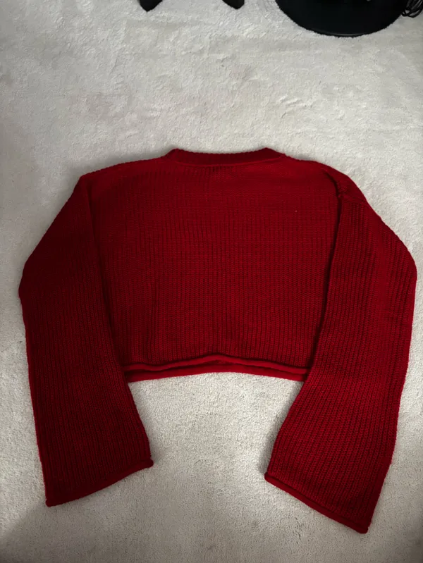 wild fable Red Ribbed Crewneck Sweater - Image 4