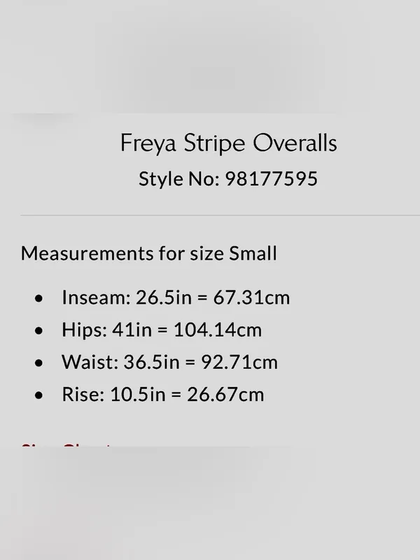 Free People Freya Stripe Overalls small - Image 3
