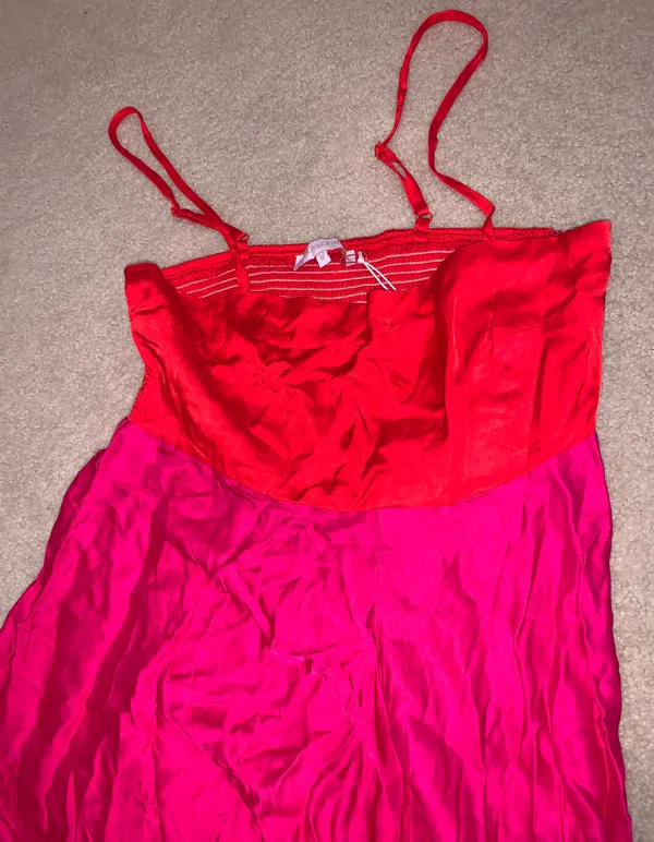 Impeccable Pig Dress - Image 4