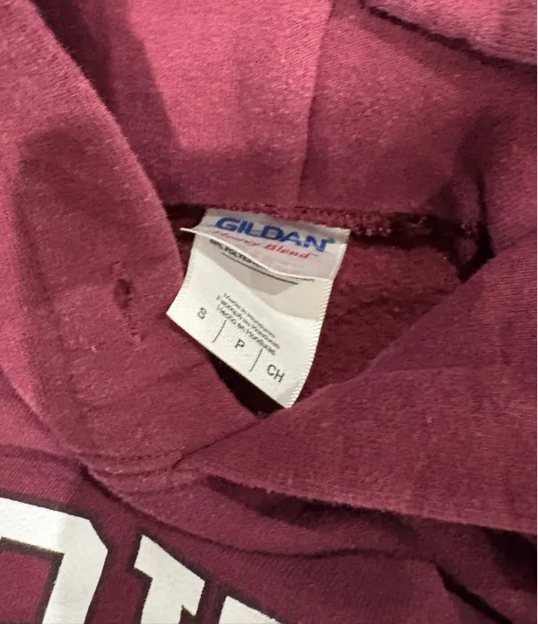 Gildan Harvard Hoodie - Image 3