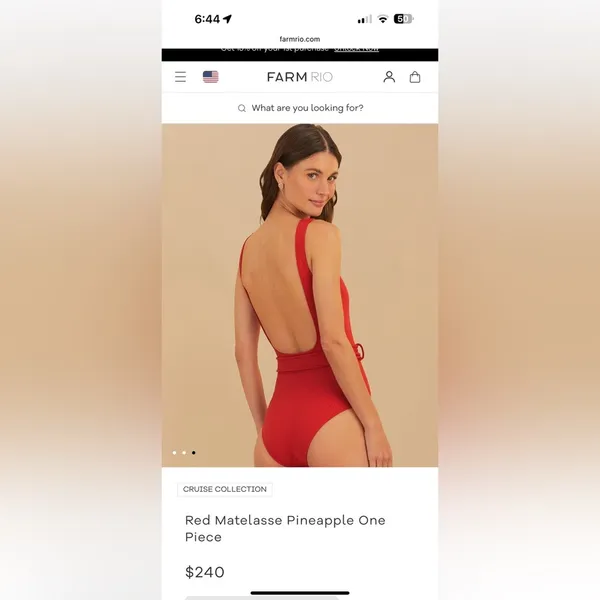 farm rio swimsuit - Image 4