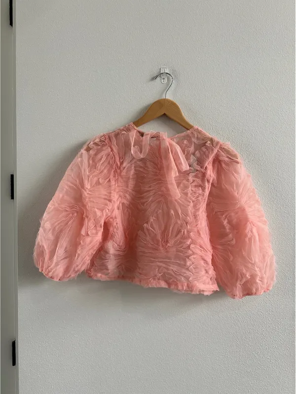 Zara Organza Top Size Small - Image 5